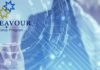 Australian Government Endeavour Leadership Program 2019 Australian Government Endeavour Leadership Program 2019