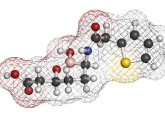 Order Enzyme Inhibitors Online At Lower Price For Research Use Order Enzyme Inhibitors Online At Lower Price For Research use