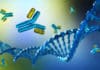 Buy Antibodies For Your Research Buy Antibodies For Your Research From Best Antibody Suppliers