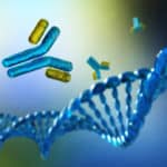Buy Antibodies For Your Research From Best Antibody Suppliers