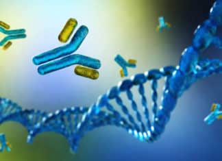 Buy Antibodies For Your Research Buy Antibodies For Your Research From Best Antibody Suppliers