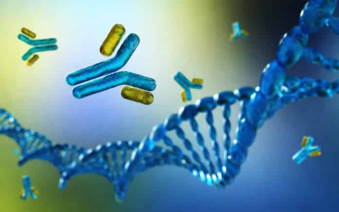 Buy Antibodies For Your Research From Best Antibody Suppliers