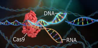 Major Discovery in CRISPR Technology By MIT Researchers