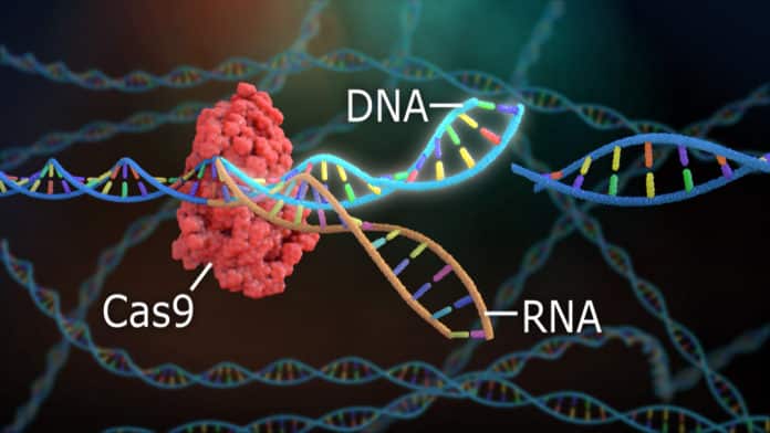 Major Discovery in CRISPR Technology By MIT Researchers