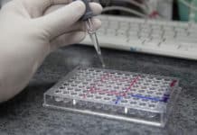 Purchase Saliva Cortisol ELISA Kits For Research Use Purchase Saliva Cortisol ELISA Kits For Research Use