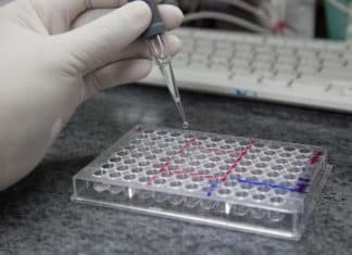 Purchase Saliva Cortisol ELISA Kits For Research Use Purchase Saliva Cortisol ELISA Kits For Research Use