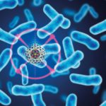 DBT India Mission Program on Antimicrobial Resistance