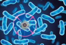 DBT India Mission Program on Antimicrobial Resistance DBT India Mission Program on Antimicrobial Resistance