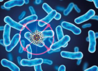 DBT India Mission Program on Antimicrobial Resistance DBT India Mission Program on Antimicrobial Resistance