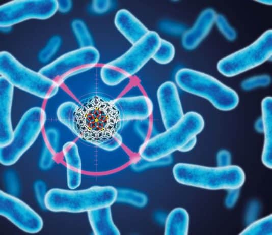 DBT India Mission Program on Antimicrobial Resistance