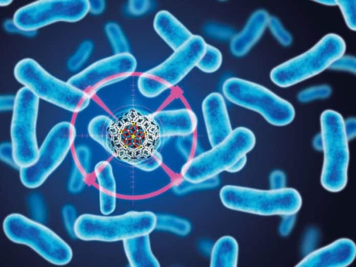 DBT India Mission Program on Antimicrobial Resistance