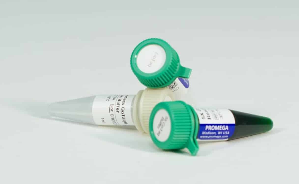 Order Best Quality Taq DNA Polymerase at Low Price Online
