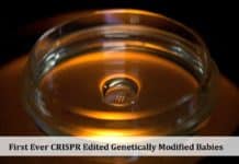 First Ever CRISPR Edited Genetically Modified Babies Made in China