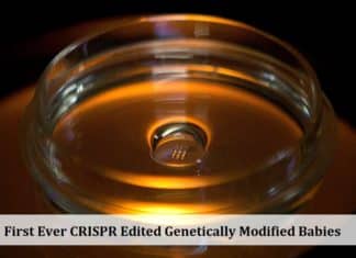 First Ever CRISPR Edited Genetically Modified Babies Made in China First Ever CRISPR Edited Genetically Modified Babies Made in China