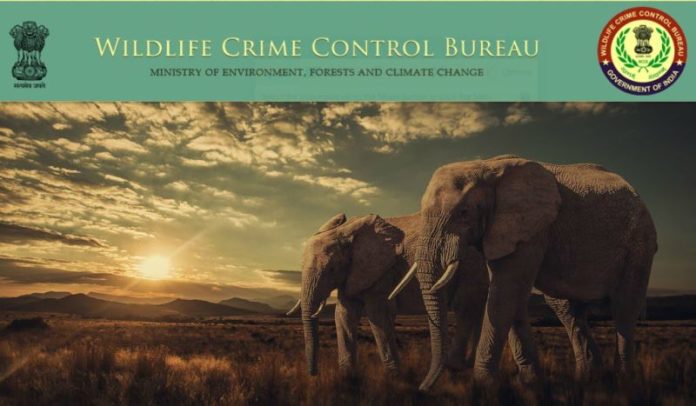 Internship Programme - Wildlife Crime Control Bureau, MoEFCC