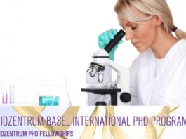 Biozentrum PhD Fellowships Program @ University of Basel