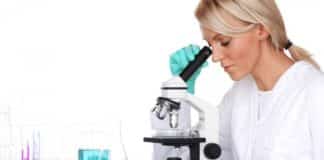 Biozentrum PhD Fellowships Program @ University of Basel