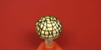 Electricity Generating Bionic Mushrooms - Discovery By Indian Scientists