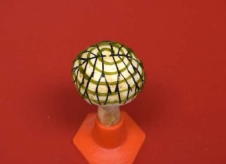 Electricity Generating Bionic Mushrooms – Discovery By Indian Scientists Electricity Generating Bionic Mushrooms - Discovery By Indian Scientists