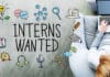 World Health Organization (WHO) Internships 2018