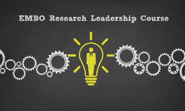 EMBO Research Leadership Course