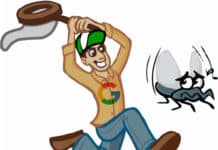 Google Plans To Eliminate Mosquitoes Worldwide With Verily