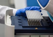 Order Online 2X PCR MasterMix Preparation at Low Cost