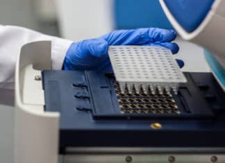 Order Online 2X PCR MasterMix Preparation at Low Cost