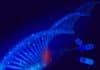 Cobra Biologic, Pall, Gene Therapy Catapult Win £1.5M Innovate UK Grant