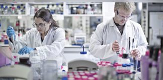 Cancer Research UK PhD Studentships