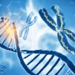 Mystery Behind How & When DNA Replicates Decoded