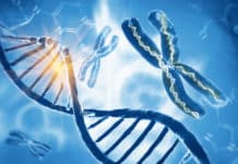 Mystery Behind How & When DNA Replicates Decoded