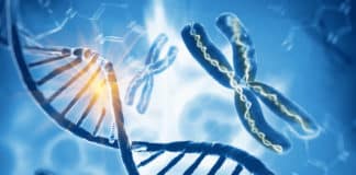 Mystery Behind How & When DNA Replicates Decoded