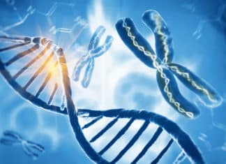 Mystery Behind How & When DNA Replicates Decoded Mystery Behind How & When DNA Replicates Decoded