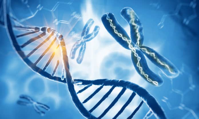 Mystery Behind How & When DNA Replicates Decoded