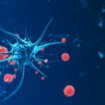 Human Skin Cells Reprogrammed To Fight Cancer