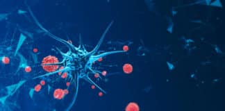 Human Skin Cells Reprogrammed To Fight Cancer