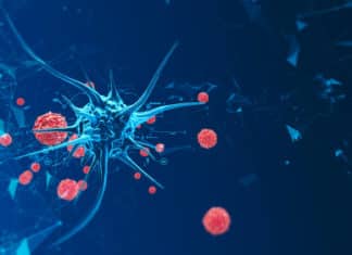 Human Skin Cells Reprogrammed To Fight Cancer Human Skin Cells Reprogrammed To Fight Cancer