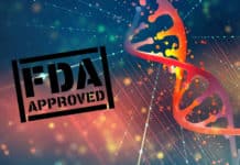 First Human CRISPR Trials By Editas Gets FDA Approval