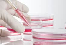 Order Online Cell Culture Reagents of Best Quality