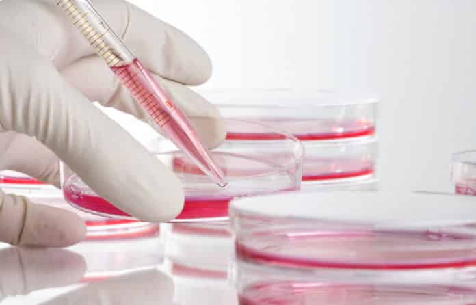 Order Online Cell Culture Reagents of Best Quality