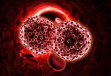 Universal Cancer Biomarker Discovered That Detects Cancer In 10 Mins