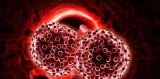 Universal Cancer Biomarker Discovered That Detects Cancer In 10 Mins