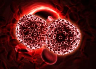 Universal Cancer Biomarker Discovered That Detects Cancer In 10 Mins Universal Cancer Biomarker Discovered That Detects Cancer In 10 Mins