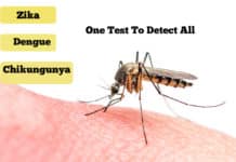 Novel Test For Detecting Zika, Dengue, Chikungunya In minutes