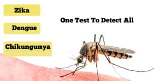 Novel Test For Detecting Zika, Dengue, Chikungunya In minutes