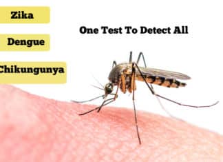 Novel Test For Detecting Zika, Dengue, Chikungunya In minutes Novel Test For Detecting Zika, Dengue, Chikungunya In minutes