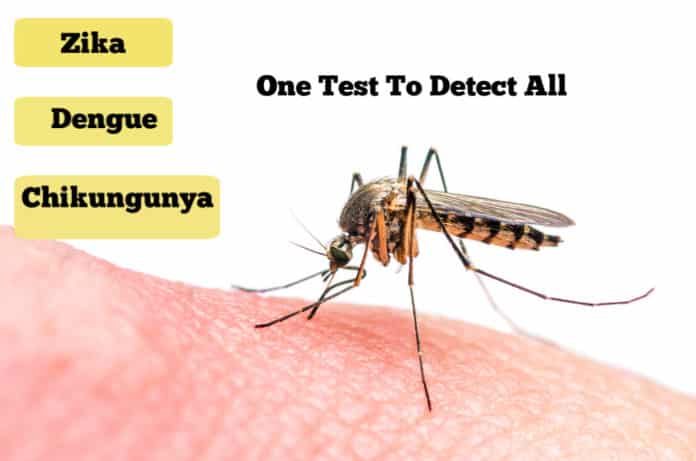 Novel Test For Detecting Zika, Dengue, Chikungunya In minutes