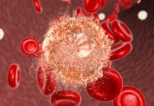 AbbVie Lupin $977M+ Partnership to Develop Blood Cancer Inhibitors