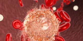AbbVie Lupin $977M+ Partnership to Develop Blood Cancer Inhibitors